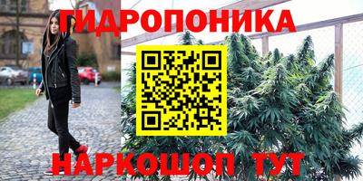 дживик Новодвинск