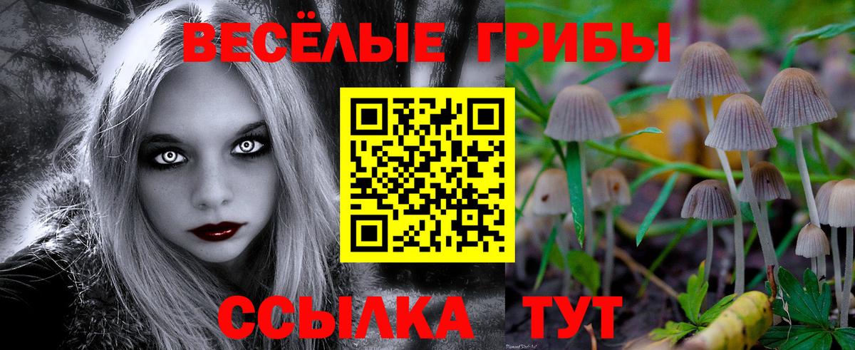 Псилоцибиновые грибы GOLDEN TEACHER Волгоград